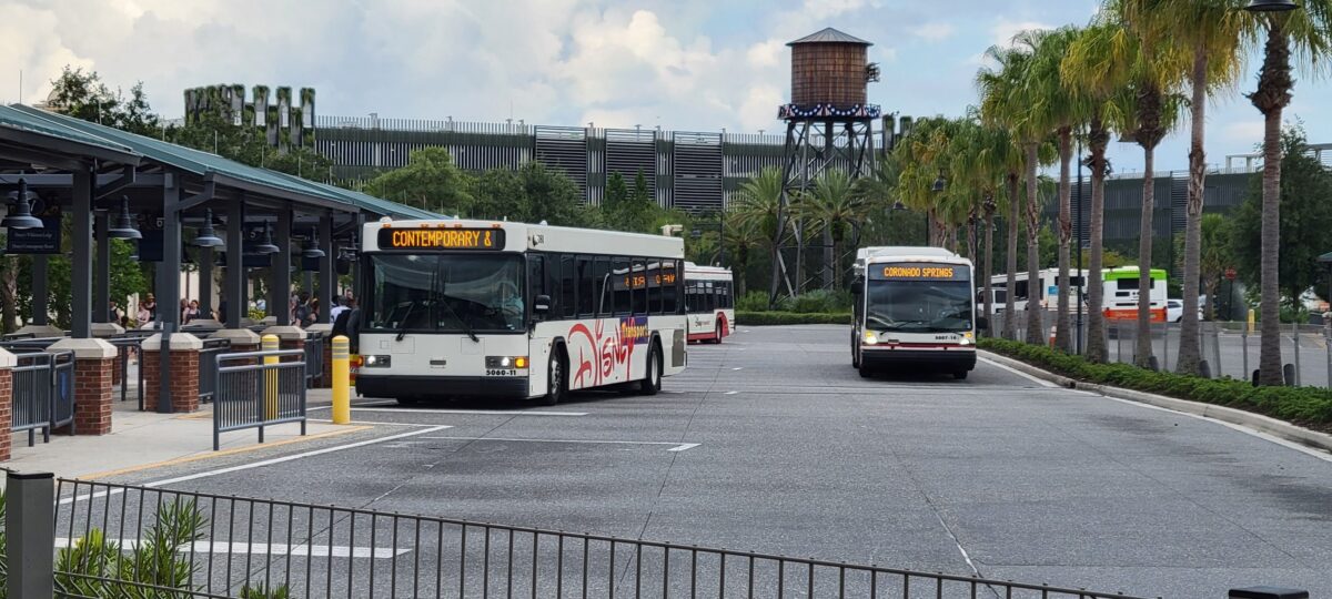 Walt Disney World Buses